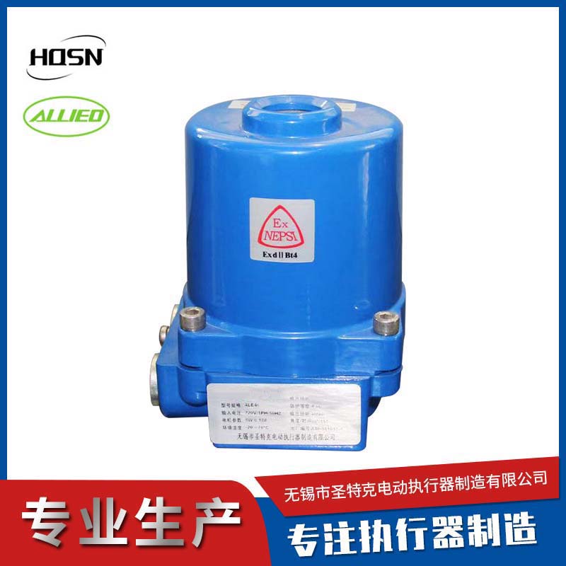 電動執(zhí)行器